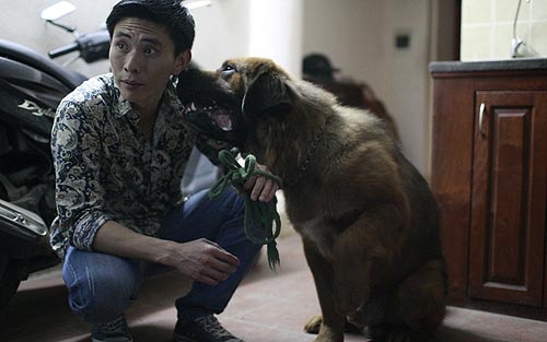 Đổ tiền chơi “siêu khuyển”
