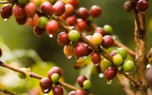 Điểm báo Quốc tế