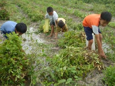 Bức thư thứ năm: Vẫn chỉ là xóa nạn mù chữ (?)