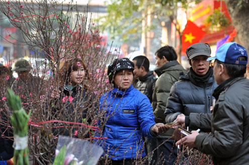 Chen chân giữa chợ hoa xuân Hà Nội