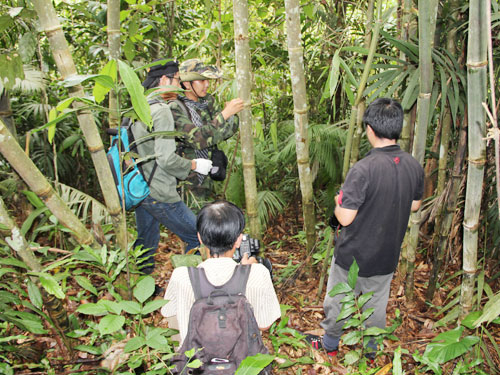 Dự án thủy điện Đồng Nai 6 và 6A: Khảo sát kiểu “cưỡi ngựa xem hoa”