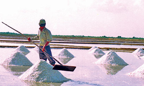 Vụ bán trái phép 23 nghìn tấn muối nhập khẩu: Yêu cầu xử lý nghiêm doanh nghiệp vi phạm