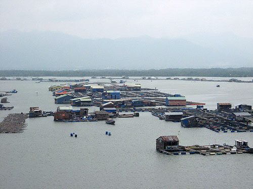 Không quản nổi người Trung Quốc!