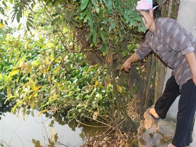 Sông Ghẽ: 'Trước tắm giặt, nay rửa tay không dám'