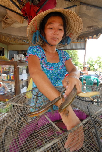 Qua cánh đồng lũ thấp