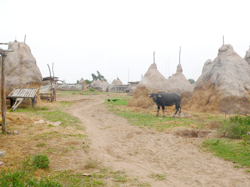 Èo uột khu kinh tế vùng biên