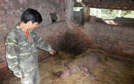 Dân chưa hài lòng với 'công bộc' xã