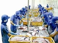 Xuất khẩu thủy sản sang EU: Đối mặt khó khăn mới