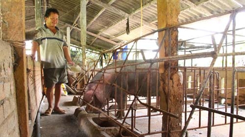 Chờ lãi suất giảm