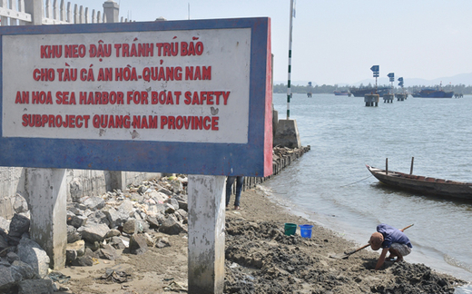 Tàu thuyền sợ nơi tránh bão: Lại đổ tiền xuống biển?