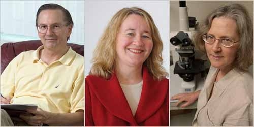 Nobel y học chia ba