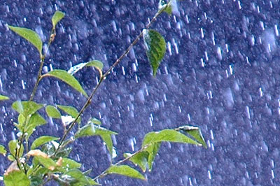 Thơ người mù, nhưng sáng trưng