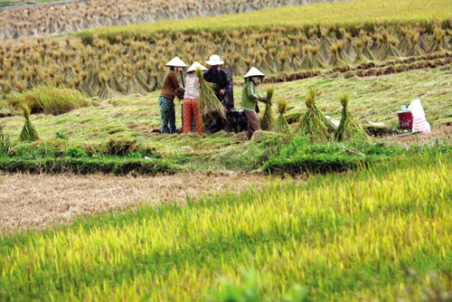 Cần nâng mức hạn điền