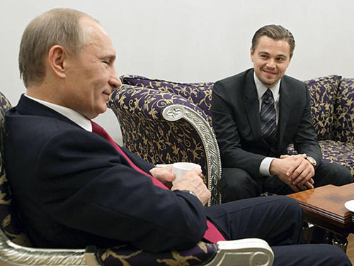 Bảo tồn hổ bằng cách… nấu cao?