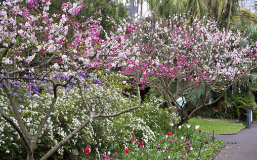 Tết đến, vài lời gửi bạn phương xa