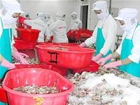 Nhập khẩu cuối năm sẽ tăng chậm lại