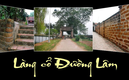 Nỗi khổ Đường Lâm