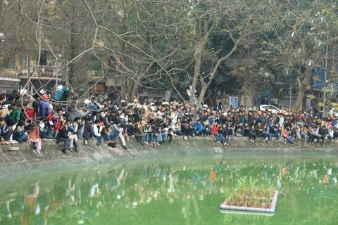 Cuộc chiến xung quanh cụ rùa