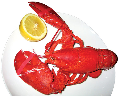 Chuyện ăn ngáng chân… “chuyện ấy”