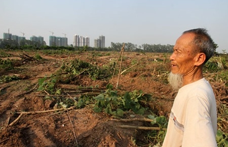Văn Giang và viễn cảnh nông dân “góp cổ phần”