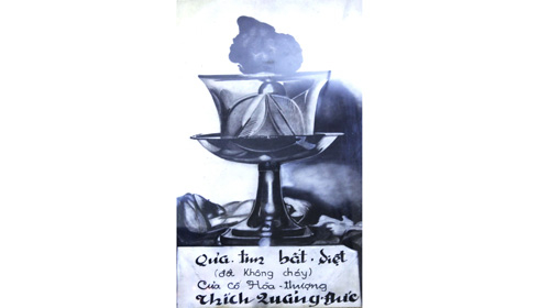 Trái tim bất tử - Kỳ cuối