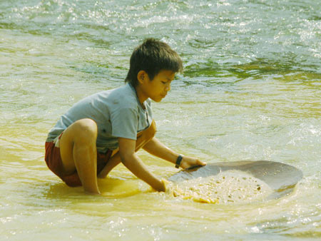 Theo mẹ đãi vàng