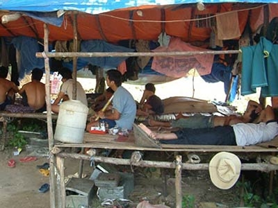 Phu vàng, máu và nước mắt