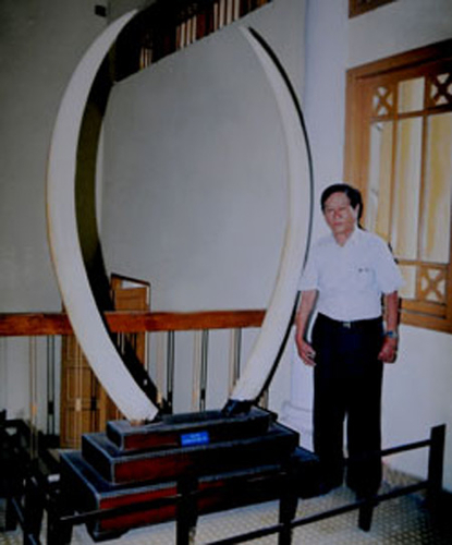 Cuộc lưu lạc của cặp ngà voi khổng lồ trong ngôi nhà cổ