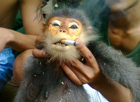 Ranh giới mong manh