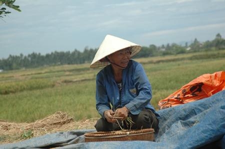Báo cáo Thủ tướng vụ 'một xã có 500 cán bộ'