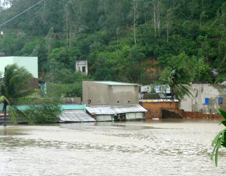 Diễn đàn văn hóa: Hỏi chỉ để khóc