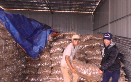 Khoai tây Trung Quốc vẫn ùn ùn về Hà Nội