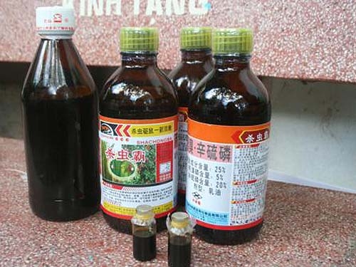 Bí mật những lọ thuốc