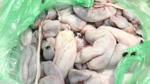 Khám phá đường dây buôn “lòng thối” xuyên Việt