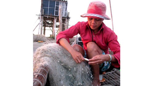 Tị nạn môi trường - Kỳ 8