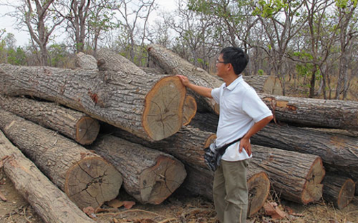 Quyền giám đốc VQG Yok Đôn lộng quyền