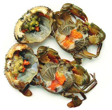 Độc đáo Tiết canh cua vùng đất Mũi