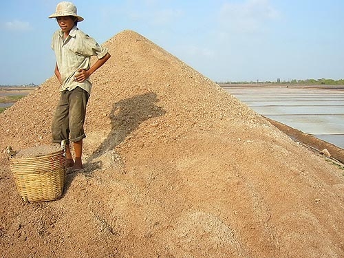 Dài cổ chờ bán muối