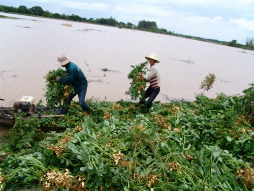 Đồng Tháp, An Giang: tập trung mọi nguồn lực ứng phó lũ 24/24