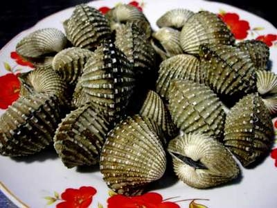 Muốn cao lớn phải “ăn” đủ kẽm