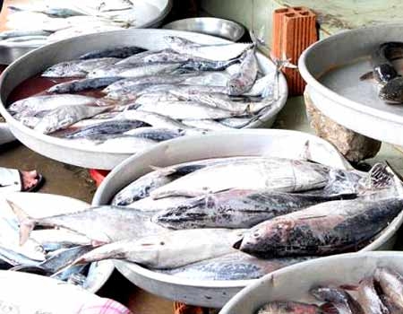 Bún tươi, giò chả 'ngậm' hàn the và formol