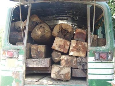 Đột nhập 'vương quốc' gỗ lậu - Kỳ 2: