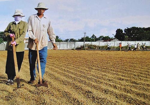 Thiệt vì chính sách chậm chân