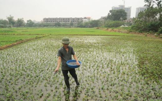 Cơ hội “vàng” cho Luật Đất đai: Tách nhóm lợi ích ra khỏi đất đai