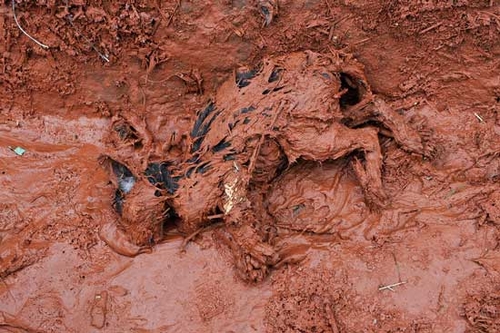 Thảm họa bùn đỏ: Công nghệ “ướt” không còn phù hợp