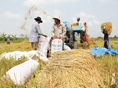 Xây đập thủy điện trên dòng chính sông Mê Kông: ĐBSCL mất 2 tỉ USD mỗi năm