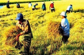 Chính sách đất đai đang vì ai?