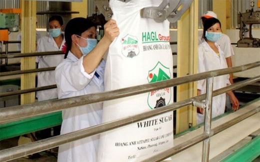 “Vụ” HAGL xin nhập đường: Mía đường bị ép đến chân tường