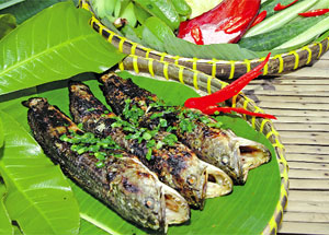 Đắng cay khẩu vị của người khẩn hoang