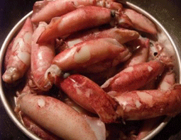 Về Cà Mau ăn món trứng mực